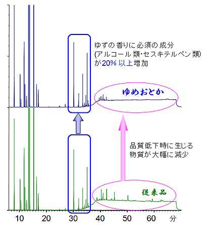 090912-06.jpg