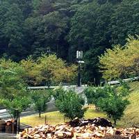 141013-04.jpg